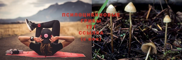 jwh Гусиноозёрск