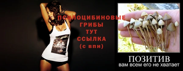молекула духа Горно-Алтайск