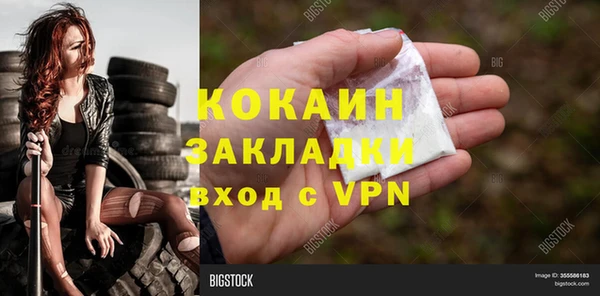 PSILOCYBIN Гусев